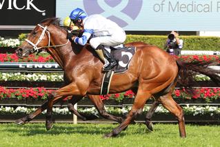 Kolding (NZ) Fending off a strong field in the G3 Bill Ritchie. 